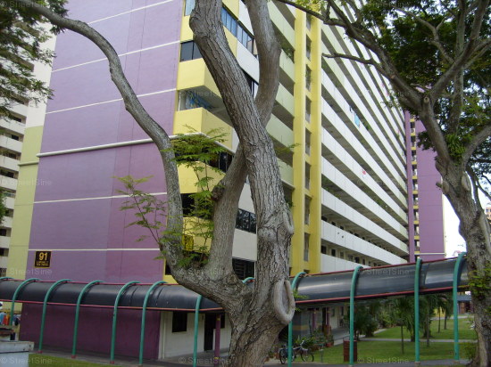 Blk 91 Toa Payoh Palm Spring (Toa Payoh), HDB 3 Rooms #400932